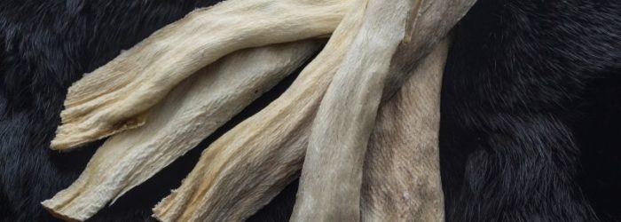 tørrpinne, tørrfisk, stockfisk, hundetørrfisk, tørrfisk til hund